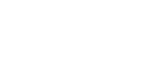 Partner 4